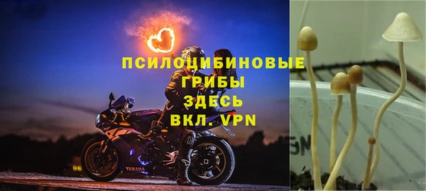 героин Алзамай
