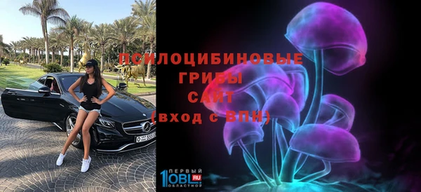ГАЛЛЮЦИНОГЕННЫЕ ГРИБЫ Алексин
