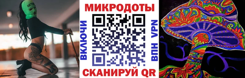 купить   Асино  Псилоцибиновые грибы мицелий 